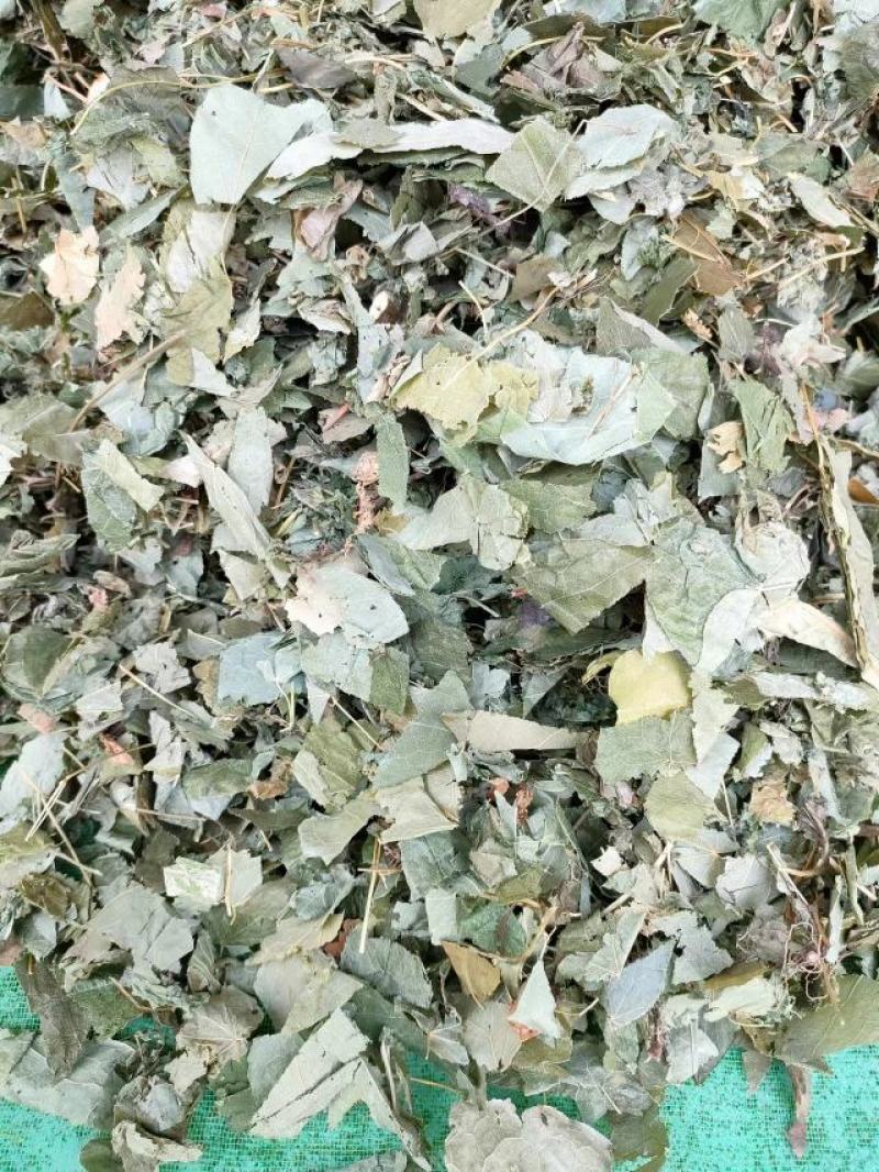 （热销）淫羊藿产区直供货源充足量大从优视频看货全国发货