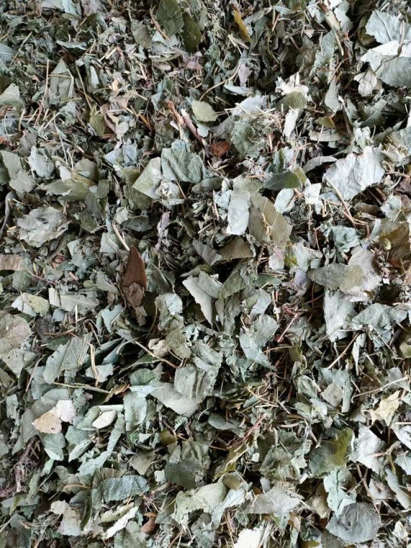 （热销）淫羊藿产区直供货源充足量大从优视频看货全国发货