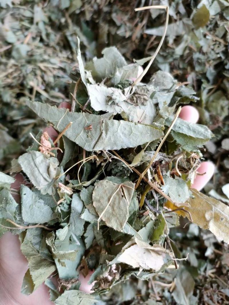 （热销）淫羊藿产区直供货源充足量大从优视频看货全国发货