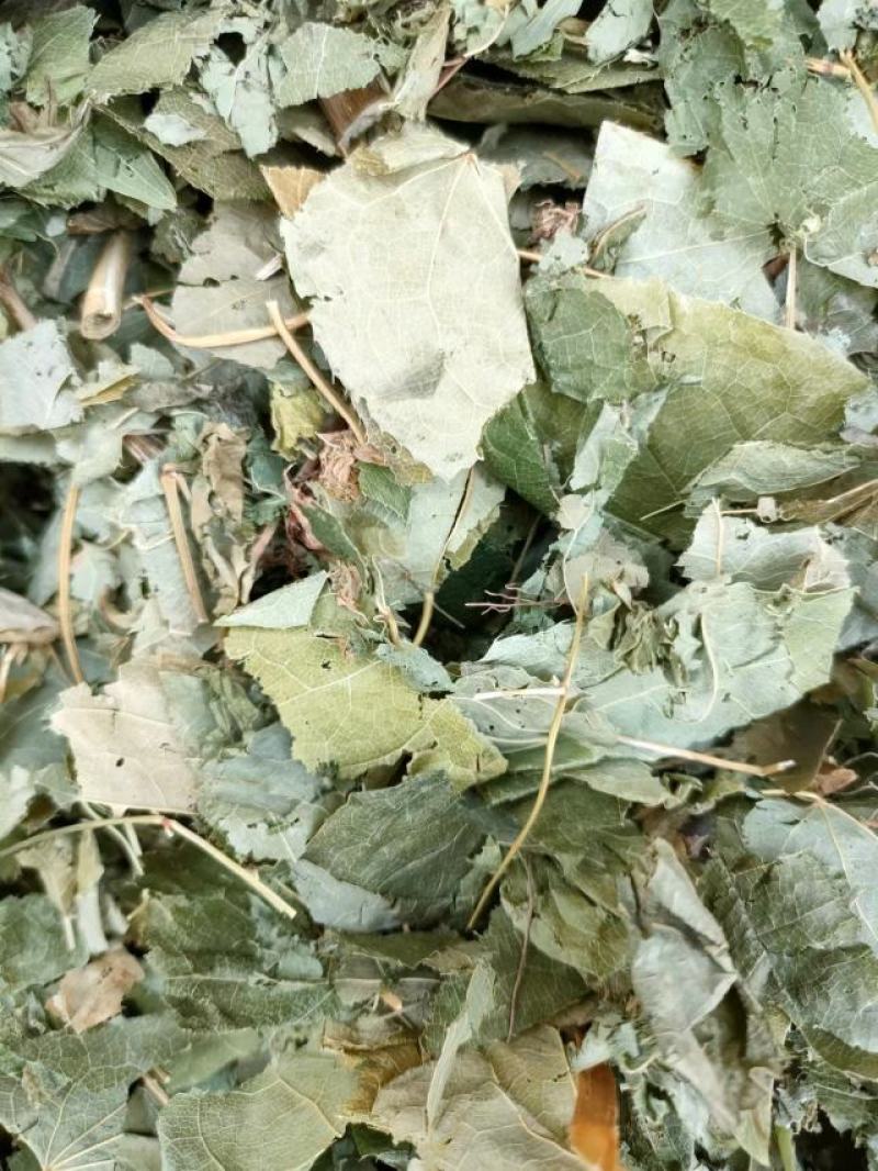 （热销）淫羊藿产区直供货源充足量大从优视频看货全国发货