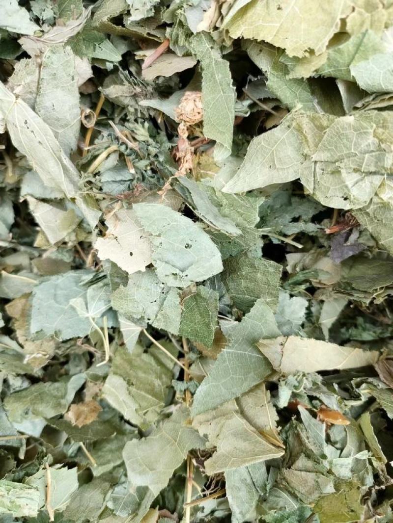 （热销）淫羊藿产区直供货源充足量大从优视频看货全国发货