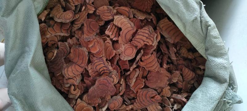 （热销）鸡血藤血丝红产区直供货源充足量大从优视频看货
