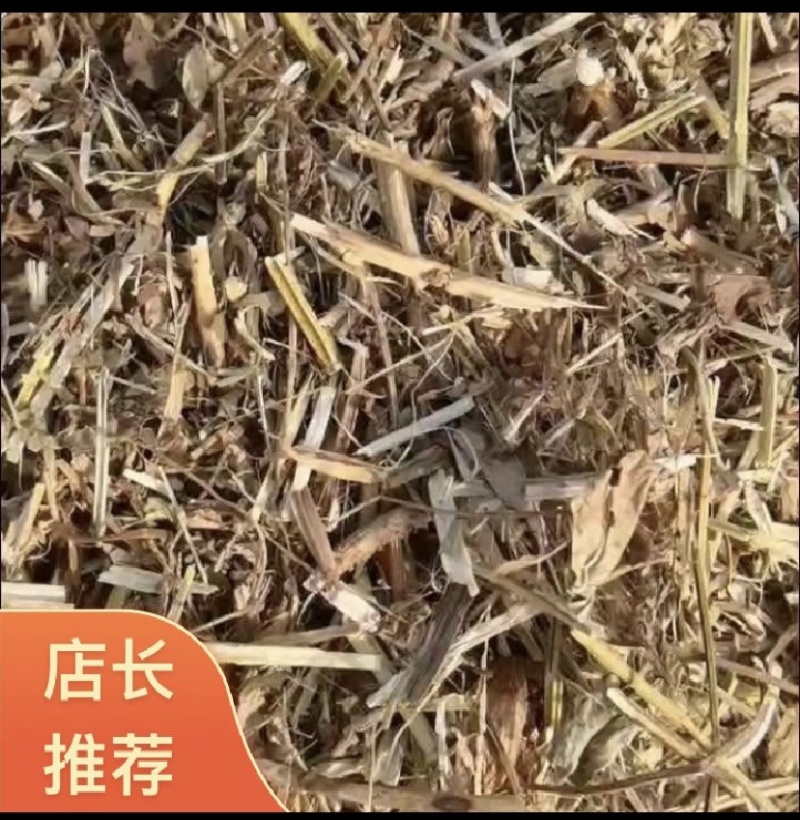 【热卖】河南驻马店原产地花生秧18个月大量售卖基地直发