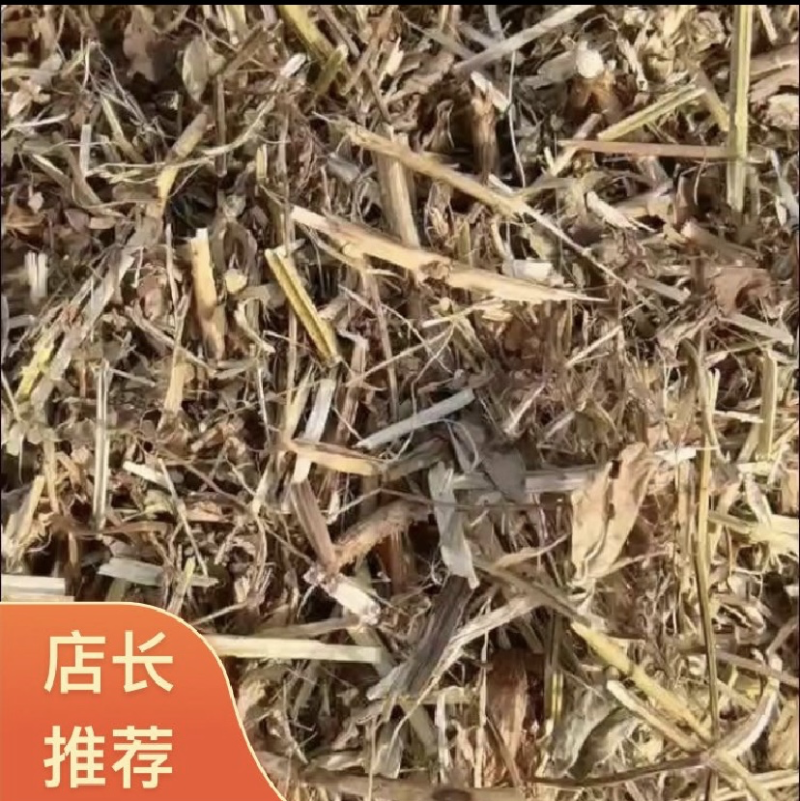 【热卖】河南驻马店原产地花生秧18个月大量售卖基地直发