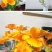 花菱草种子四季种易活花种子耐寒多年生宿根花籽庭院室外阳台