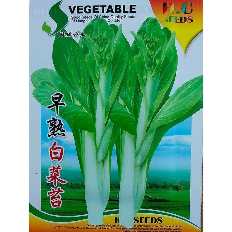 四季白菜苔种子优质菜心白菜苔苗农家新鲜蔬菜种子四季播种菜