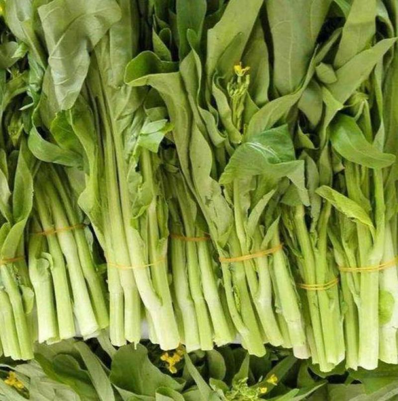 四季白菜苔种子优质菜心白菜苔苗农家新鲜蔬菜种子四季播种菜