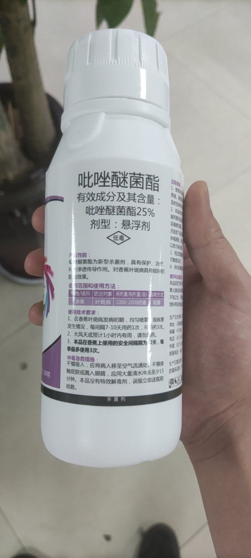 吡唑醚菌酯。叶斑病，褐斑病香蕉叶斑病。