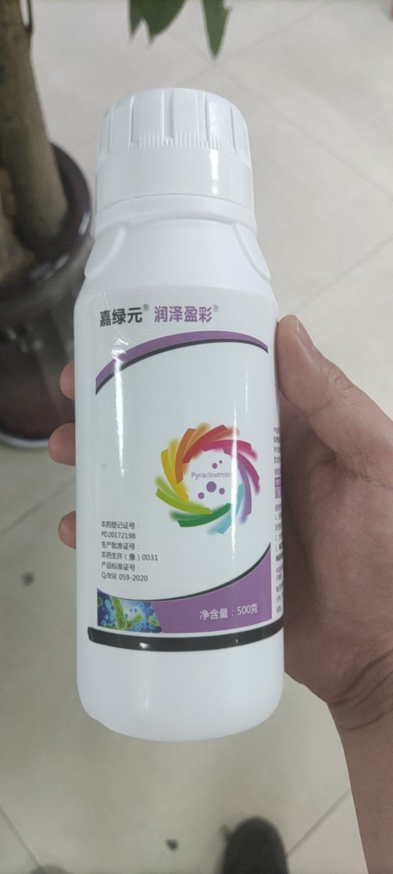 吡唑醚菌酯。叶斑病，褐斑病香蕉叶斑病。