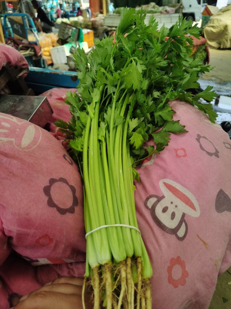 本地香芹