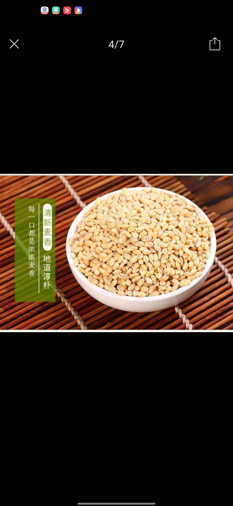 新小麦去皮煮粥五谷杂粮粥煎饼养生，酿酒