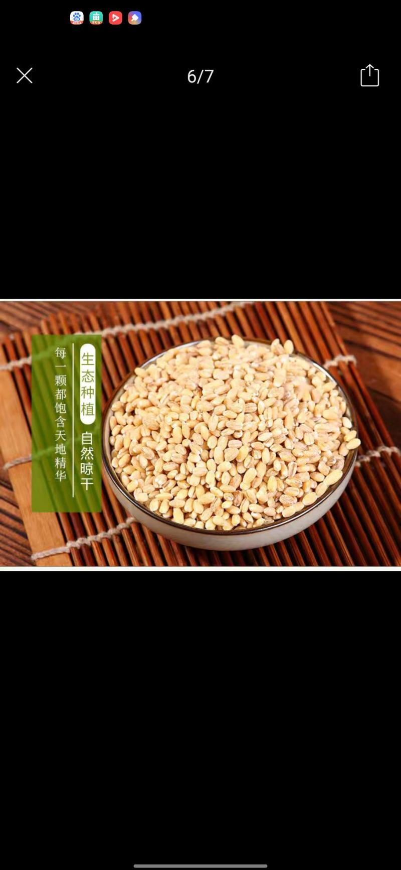 新小麦去皮煮粥五谷杂粮粥煎饼养生，酿酒