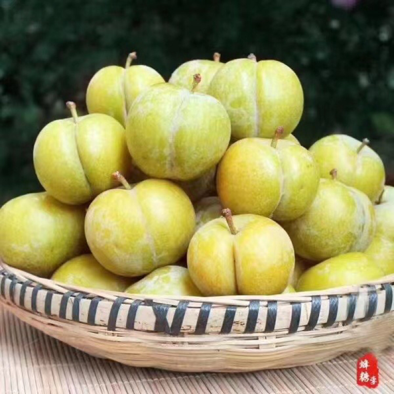 鲜果城堡，蜂糖李大量上市，对接各大平台支持