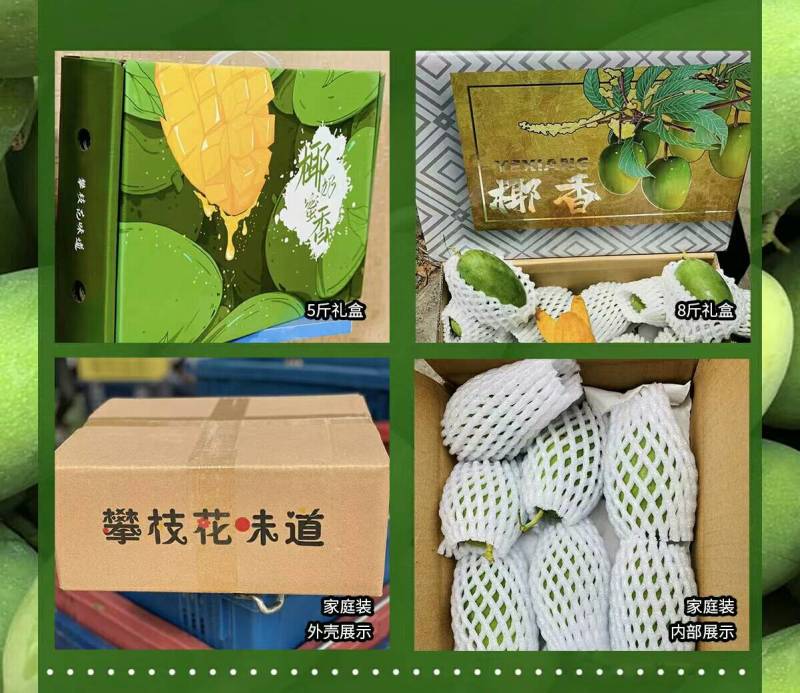 椰香芒让人心动芒果香与奶香**契合的味道，
