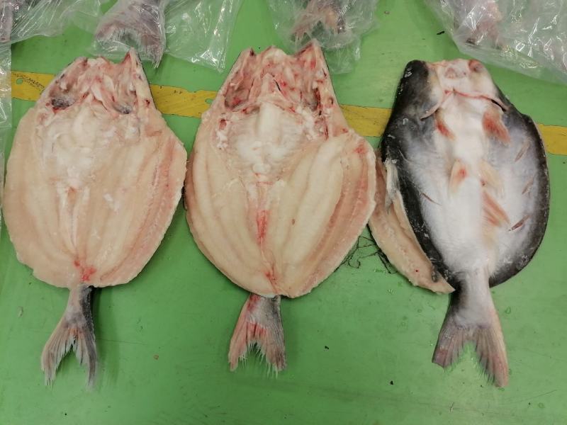开背巴沙鱼（腌制）烤鱼店专用