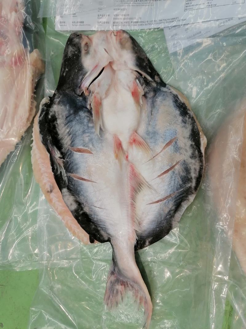 开背巴沙鱼（腌制）烤鱼店专用