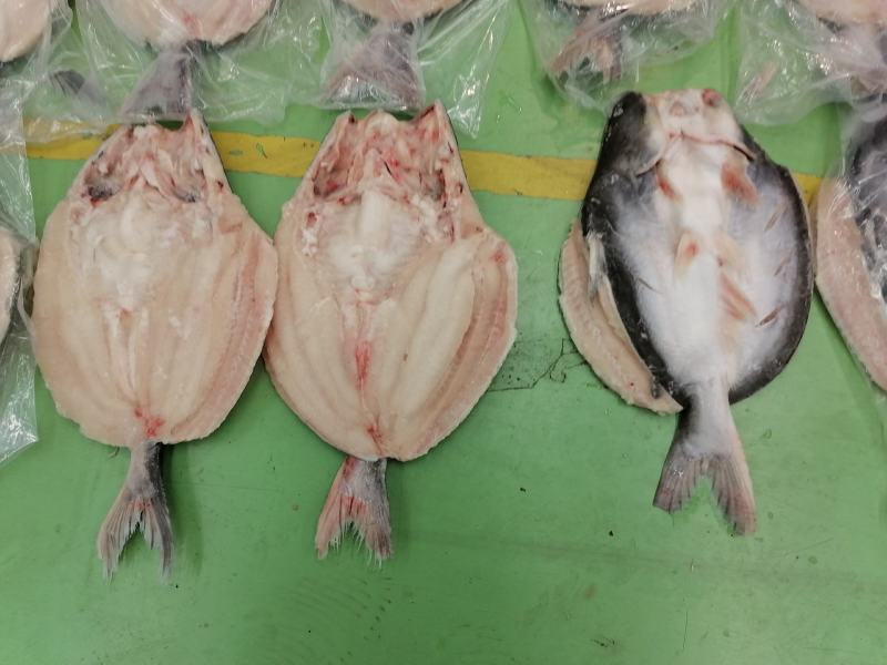 开背巴沙鱼（腌制）烤鱼店专用