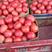 河南西红柿。大量供应中，质量好，价格优，代发全国