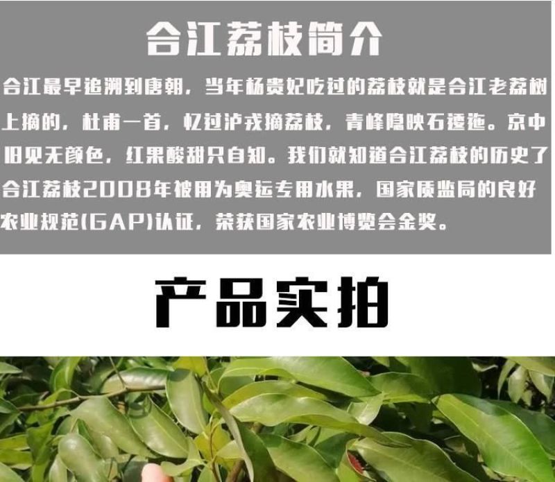 合江荔枝黛绿大红袍妃子笑桂味批发零售一件代发