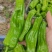 苏椒（芜湖椒）大量供应、质量保证、支持各种包装。