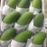 【大量】大青芒批发代发代办电商一件代发实力靠谱