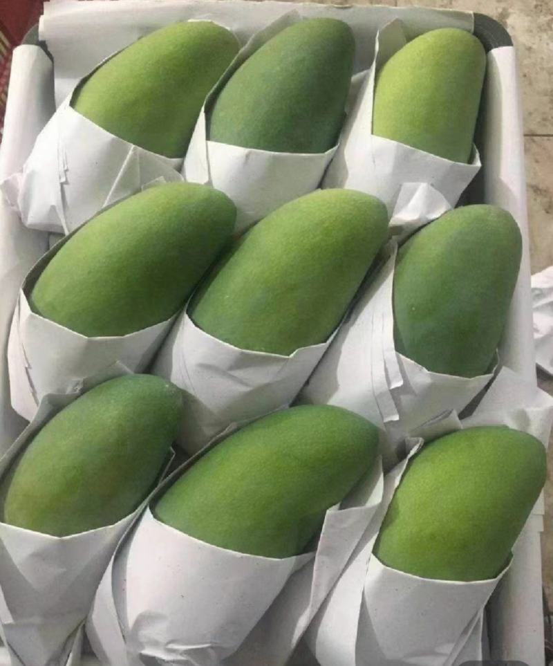 【大量】大青芒批发代发代办电商一件代发实力靠谱
