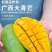 【大量】大青芒批发代发代办电商一件代发实力靠谱