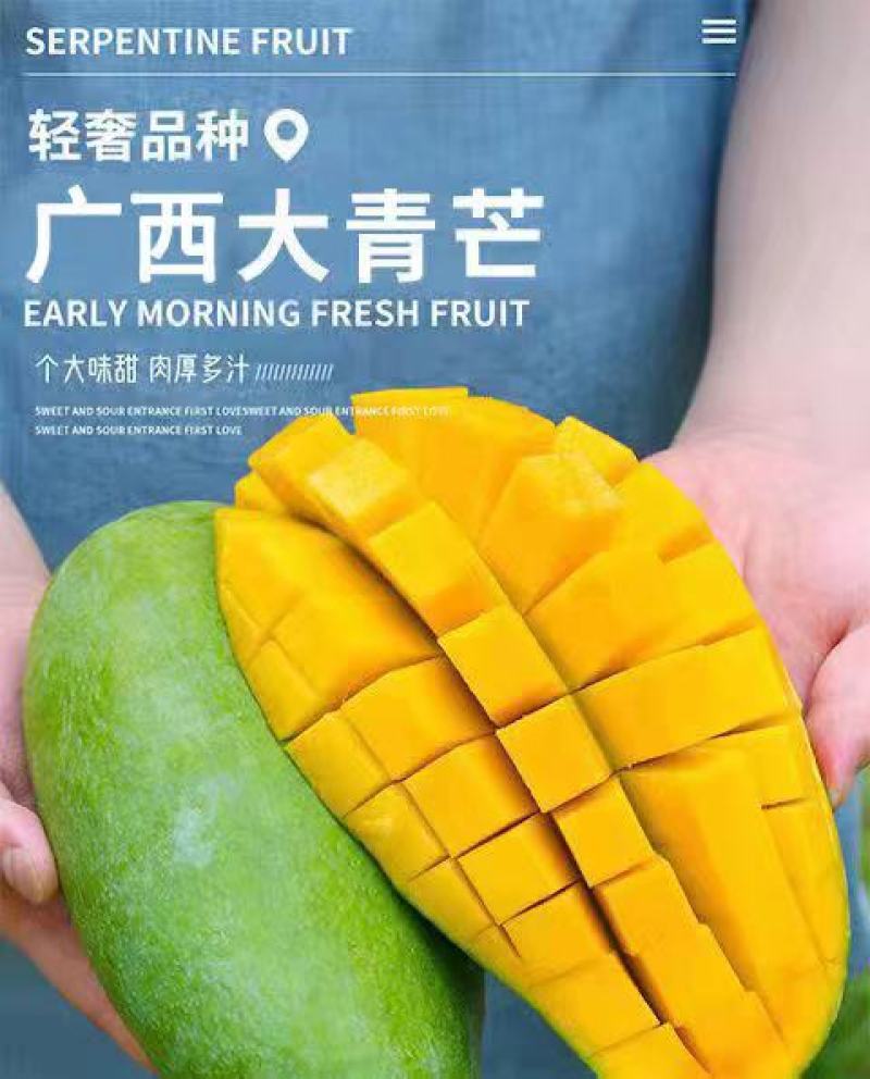 【大量】大青芒批发代发代办电商一件代发实力靠谱