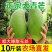 【大量】大青芒批发代发代办电商一件代发实力靠谱