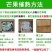 【大量】大青芒批发代发代办电商一件代发实力靠谱