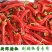 精品菠菜杆菠菜，大量上市，保质保量提供物流