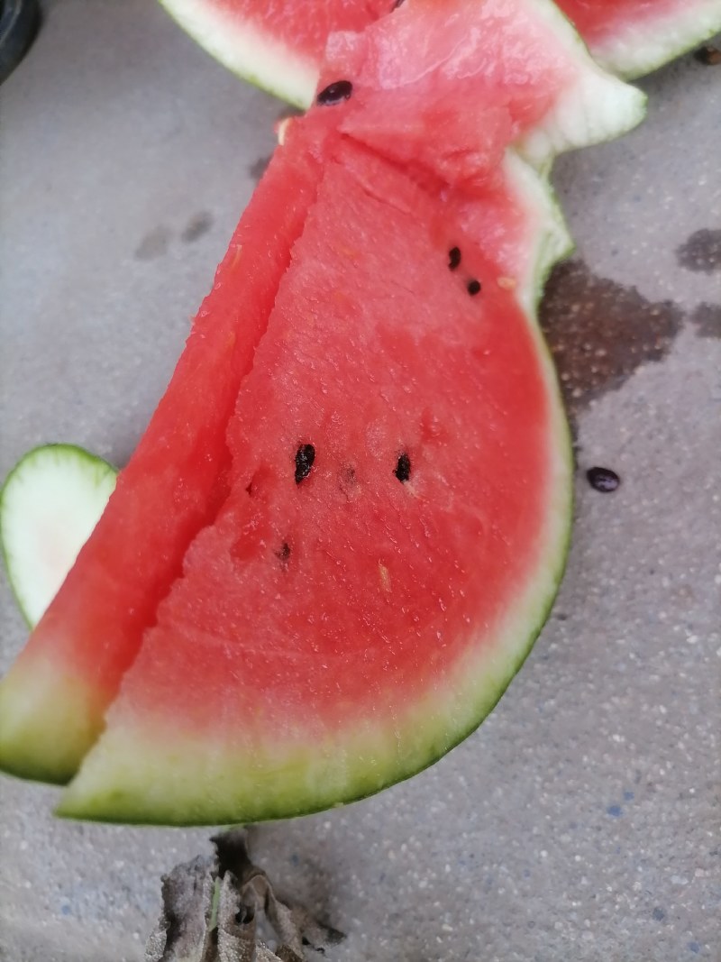 西瓜