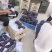 葡萄