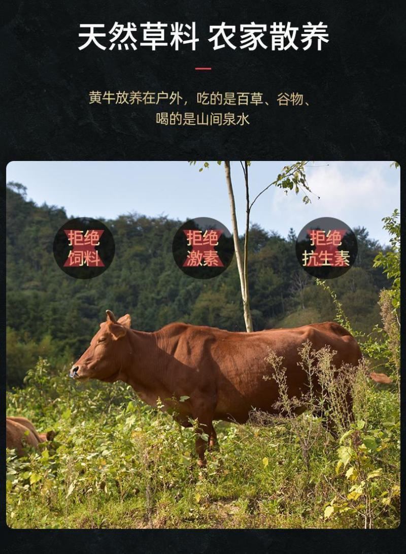 国产新鲜速冻5斤黄牛腿肉牛腩牛腱子肉牛排骨农家散养原切