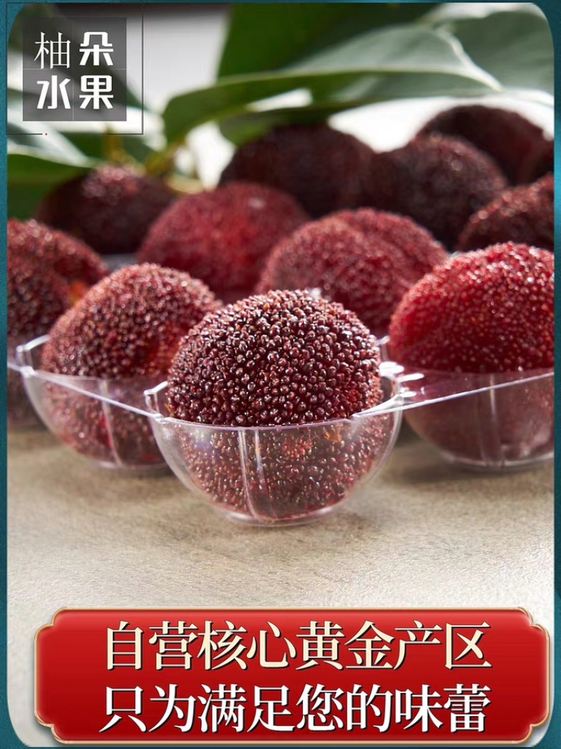 浙江仙居杨梅6斤装现摘现发