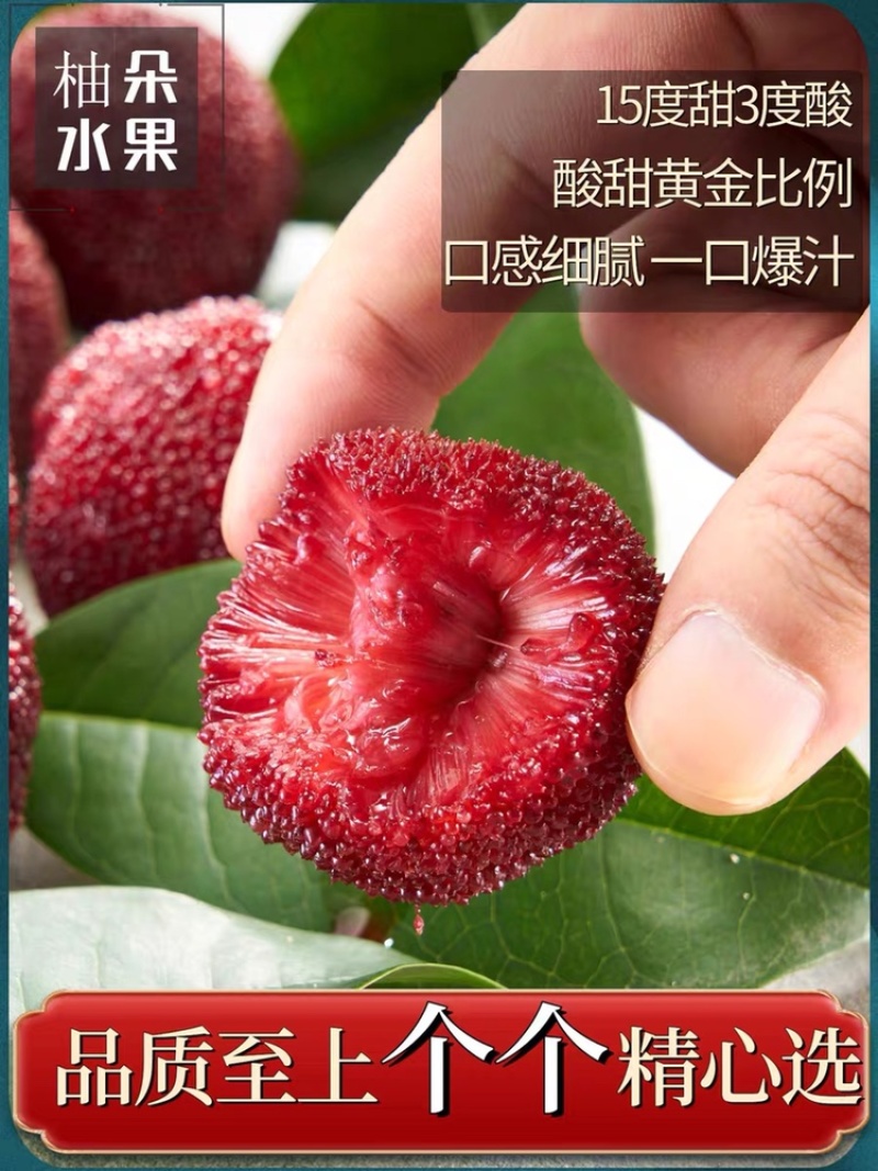 浙江仙居杨梅6斤装现摘现发
