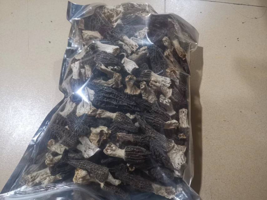 羊肚菌正确储存方法示意图