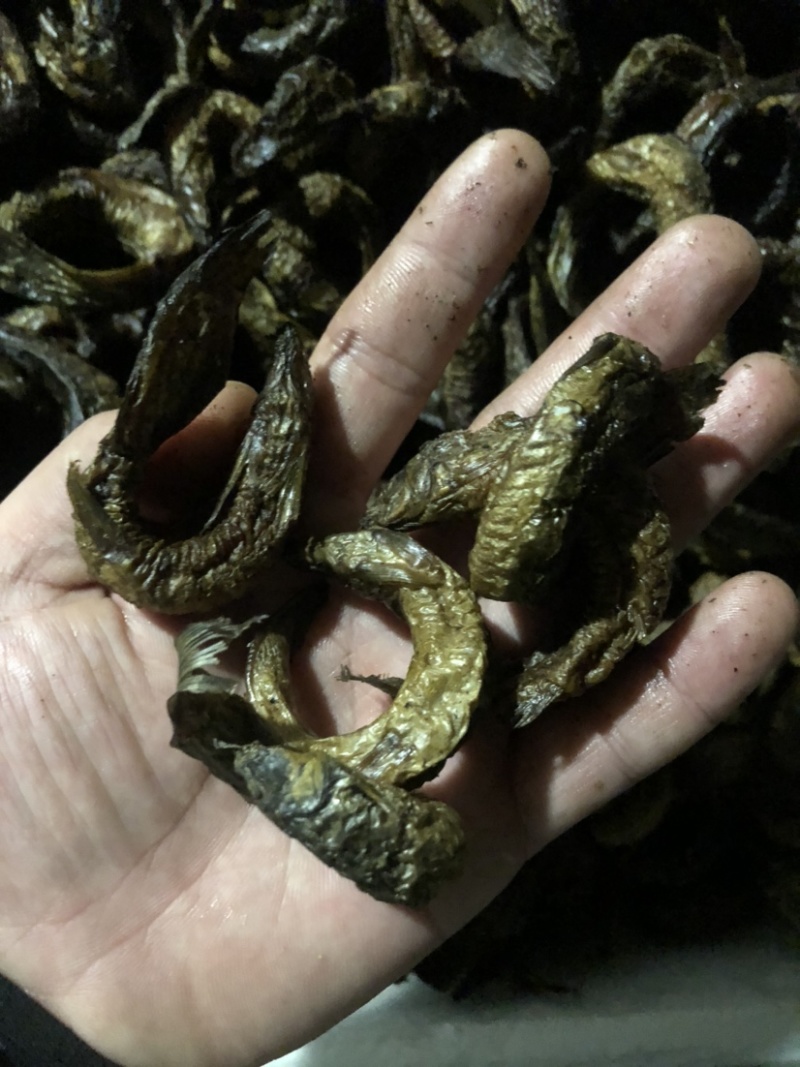 顺丰京东包邮泥鳅鱼干泥鳅鱼烘干泥鳅鱼干泥鳅烤干