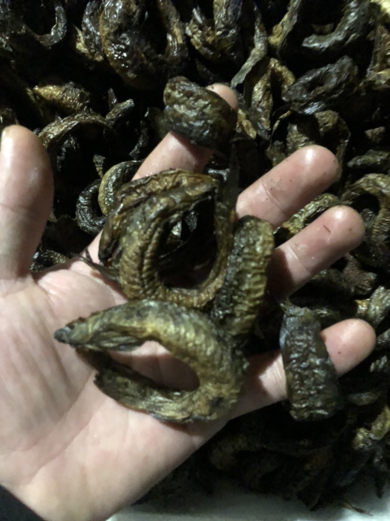 顺丰京东包邮泥鳅鱼干泥鳅鱼烘干泥鳅鱼干泥鳅烤干