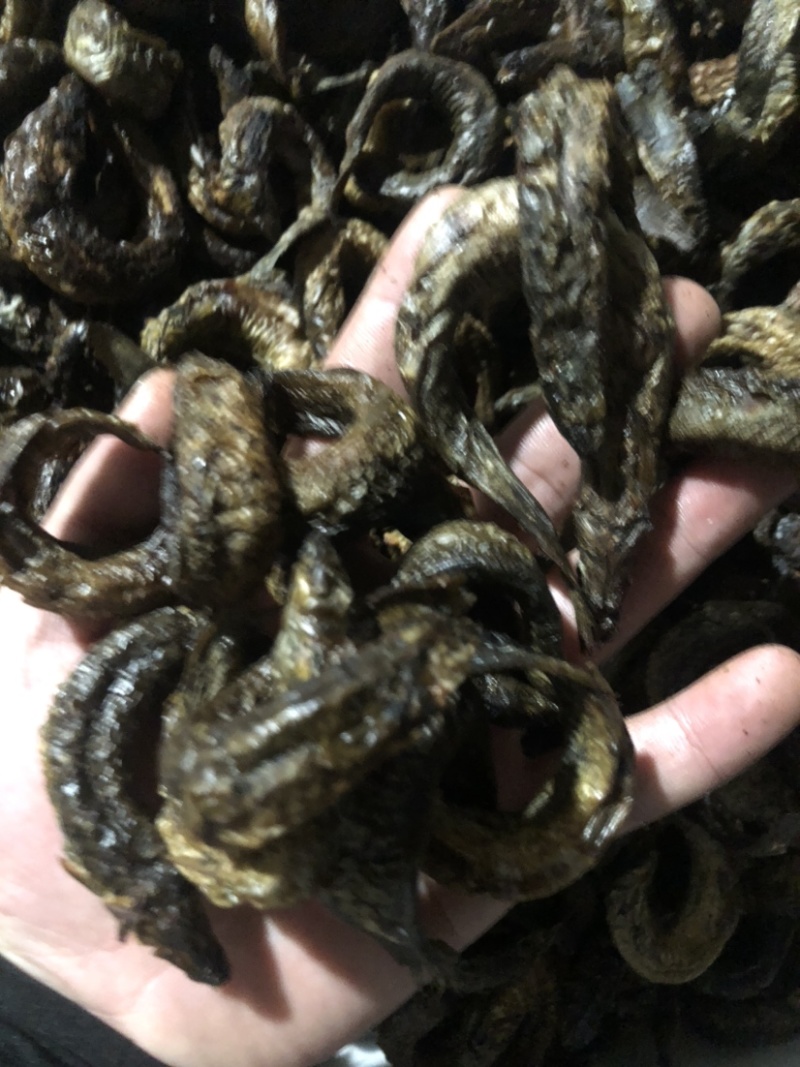 顺丰京东包邮泥鳅鱼干泥鳅鱼烘干泥鳅鱼干泥鳅烤干