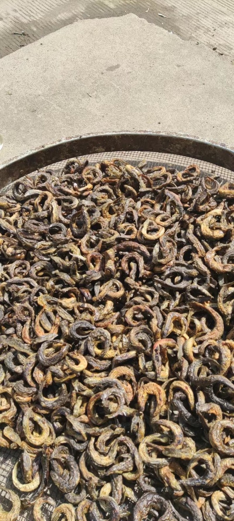 顺丰京东包邮泥鳅鱼干泥鳅鱼烘干泥鳅鱼干泥鳅烤干