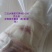 云南思茅真空包装精品水果甜竹笋去皮花口感甜脆嫩鲜价优