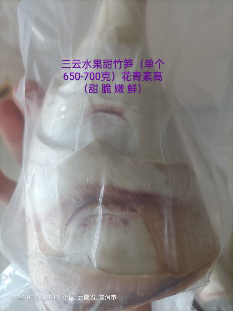 云南思茅真空包装精品水果甜竹笋去皮花口感甜脆嫩鲜价优