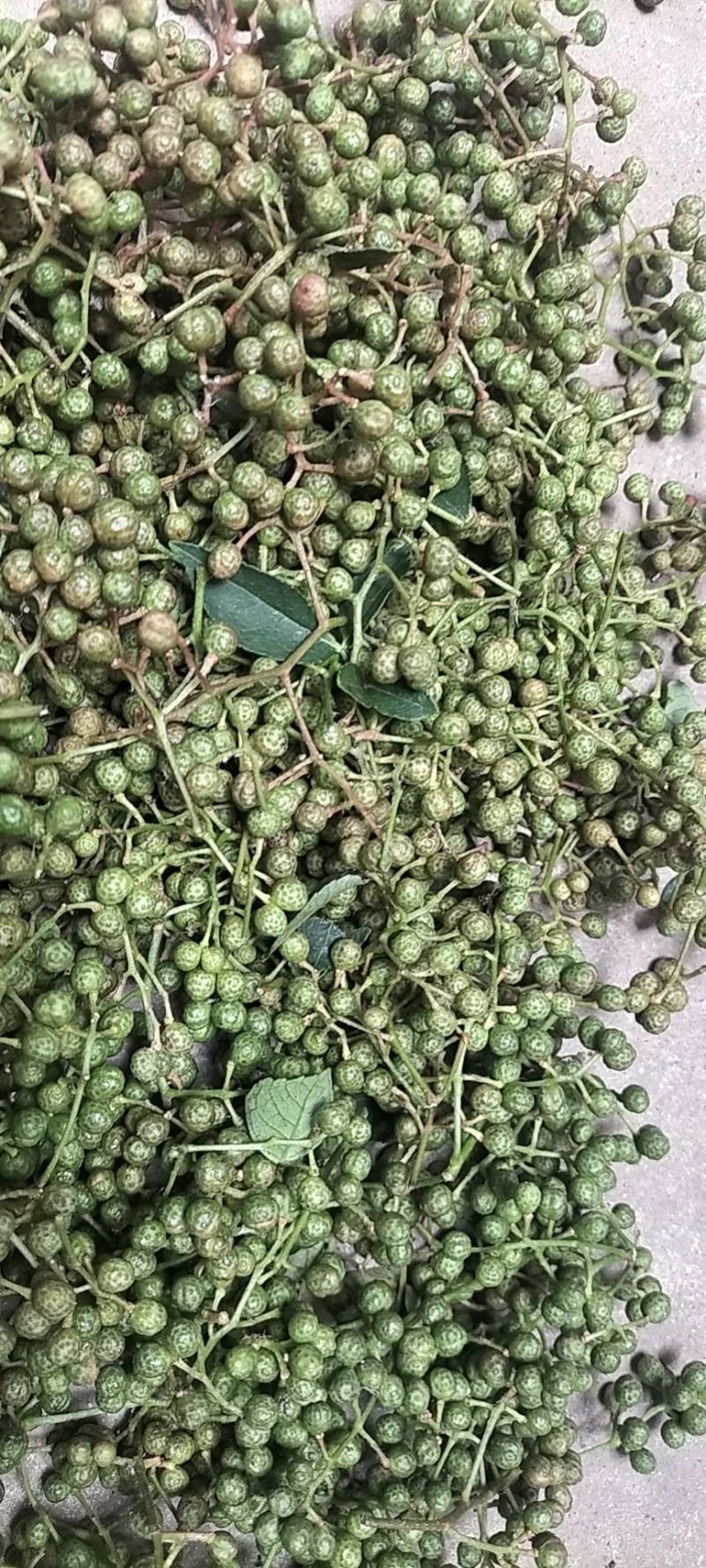 青花椒大量上市对接商超、微商和平台，可按需分装，提供代发
