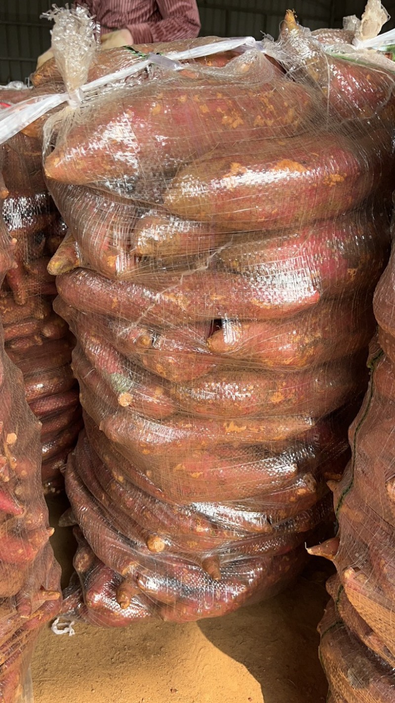 番薯