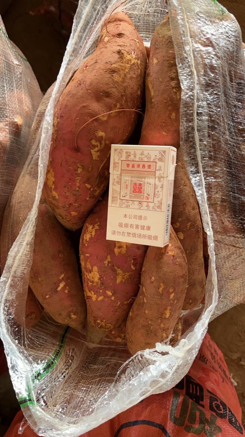 番薯