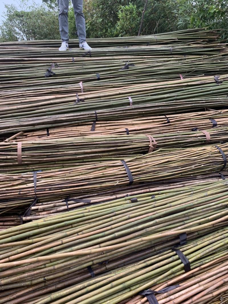 广西黄金竹大量优惠价供应，常规或非标竹订做