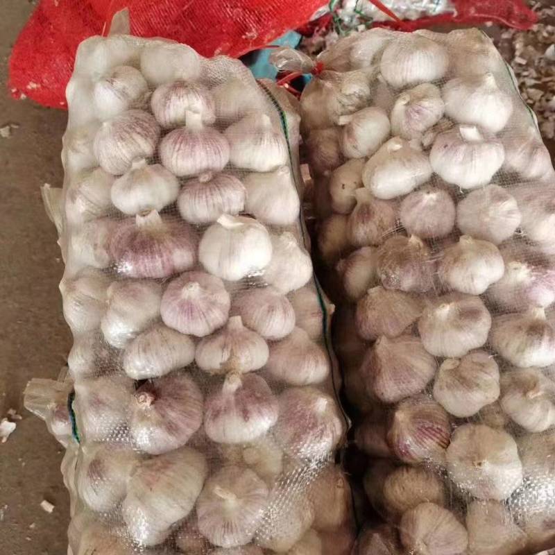 河南大蒜，精品包装可加工10斤，20斤，40斤，任何包装