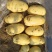 滕州土豆大量供应中4两以上货源充足市场货电商货