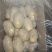 滕州土豆大量供应中4两以上货源充足市场货电商货